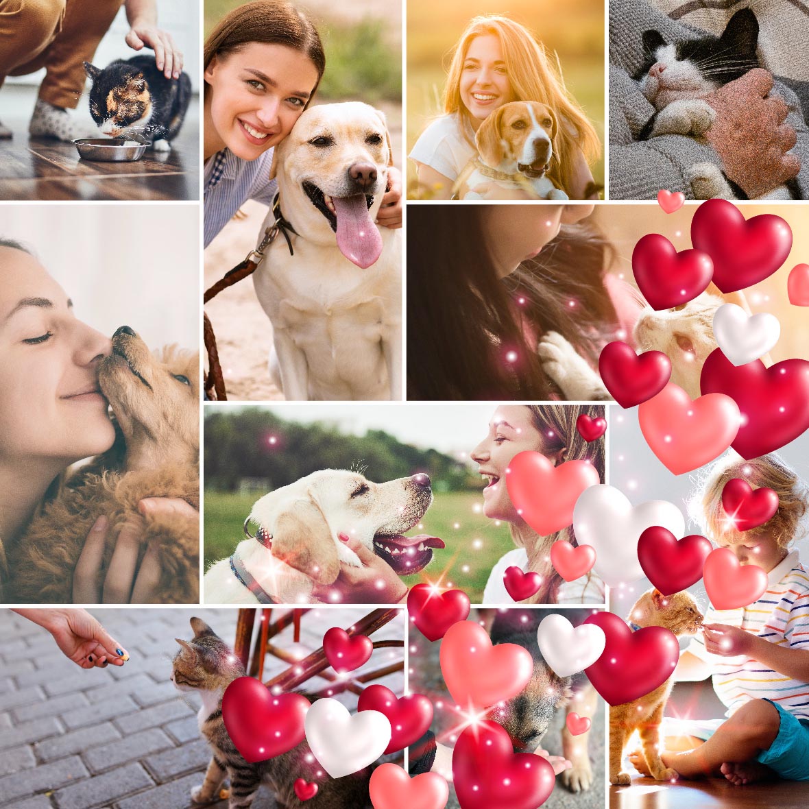 _VetStem_ (@_vetstem_) on Twitter photo Minik dostlarımızla sevgi dolu günlere…🐱❤️🐶
Sevgi ve ilgimiz onlara en güzel hediye! 🤗🐾
#14Şubat #SevgililerGünü
•
#vetstem #cat #catlife #cats #dog #dogs #doglife Minik dostlarımızla sevgi dolu günlere…🐱❤️🐶
Sevgi ve ilgimiz onlara en güzel hediye! 🤗🐾
#14Şubat #SevgililerGünü
•
#vetstem #cat #catlife #cats #dog #dogs #doglife