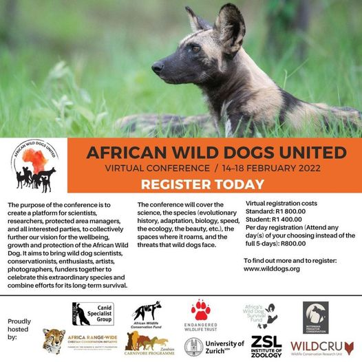 WildDogFund's tweet photo. Today is the day! 

We are looking forward to immersing ourselves in the wonderful world of wild dogs over the next week! 

There is still time to register for 1 day or a few >> https://t.co/LiQTtmCZY2

#Wilddogs #paintedwolves #paintedwolf https://t.co/vmbxsJKtxw