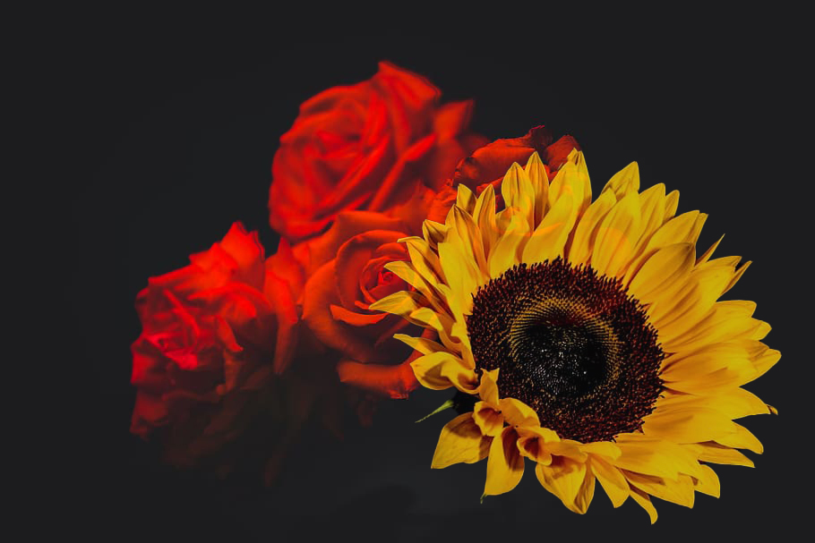 TheEternalGuard's tweet image. She's my sweet devil, or one hell of an angel, living in the darkness and all mine. I’m wild about you.

I love you from here to heaven, through hell and back, till eternity. 

Happy Valentines Day, baby.