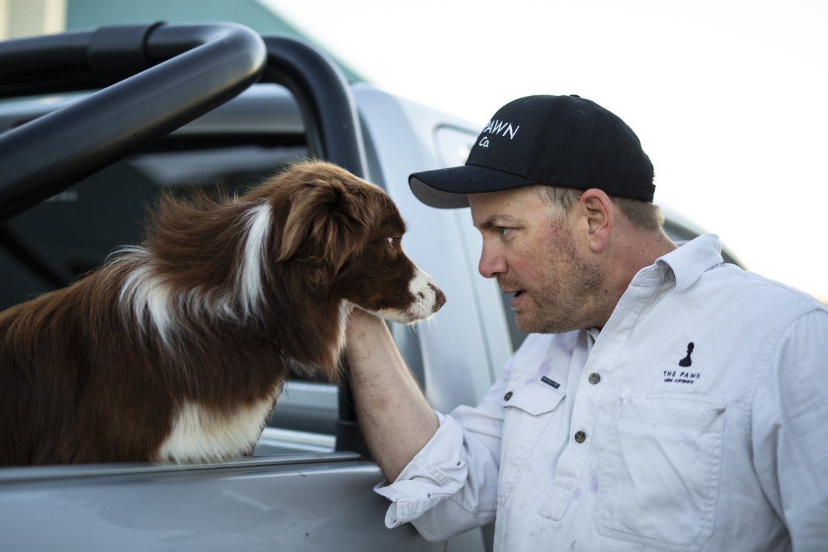 thepawnwineco's tweet photo. What’s up Holly... no card in the mail for you?
Don’t worry you’re still my Valentine ❤️😉
#valentinesday #winedogs #vintage22 #thepawnwineco #acoolmove #adelaidehillswine #langhornecreekwine https://t.co/3zFE7Lj8Q1