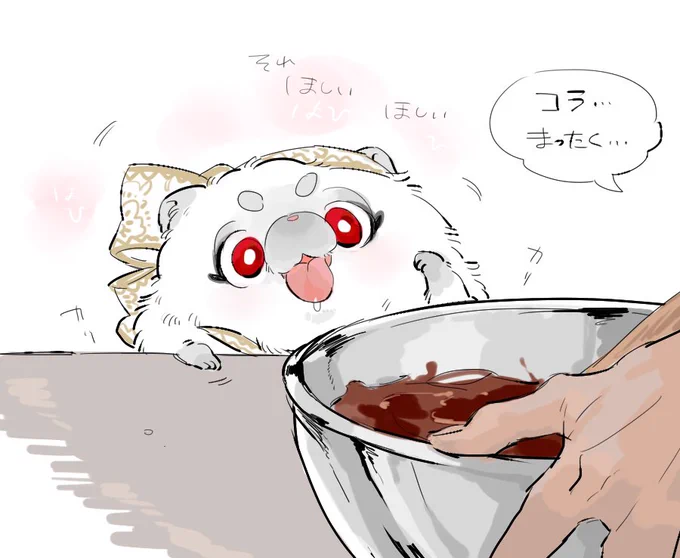 🐶🍫ダメ 