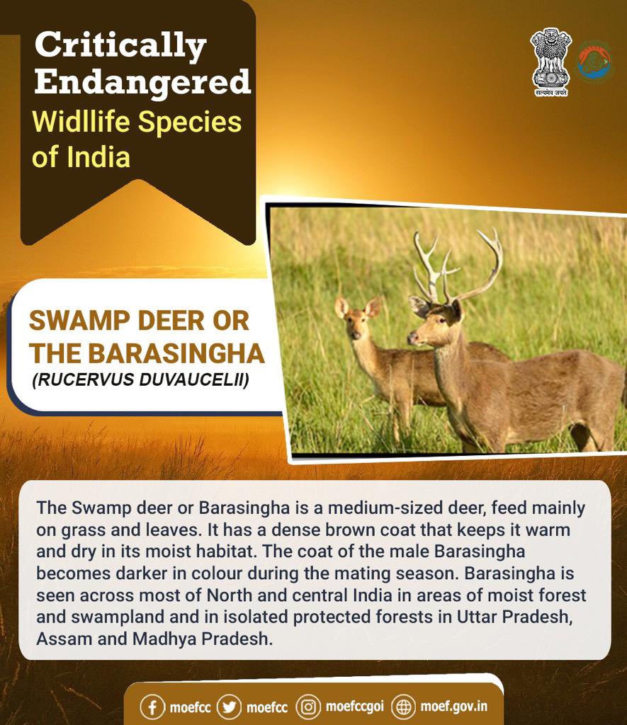 moefcc's tweet photo. #CareToProtect https://t.co/h0LARXrE6P