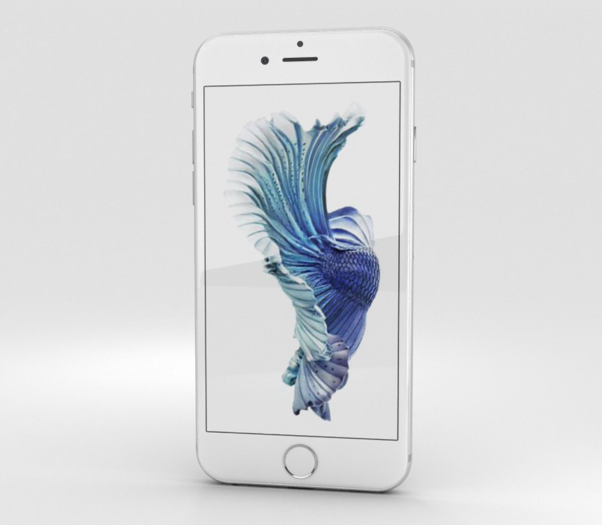 Apple Crypto Museum tweet media