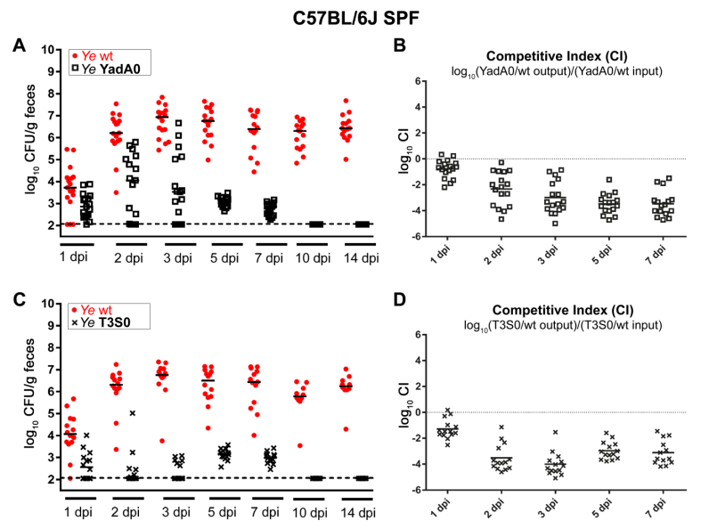 Biology_MDPI's tweet photo. A Computational Model of Bacterial Population Dynamics in Gastrointestinal Yersinia enterocolitica Infections in Mice https://t.co/ZnRQwKv2d1 via @Biology_MDPI @uni_tue
#infection #systems_biology #computational_modeling #population_dynamics #gastrointestinal_infection https://t.co/LNpztl061N