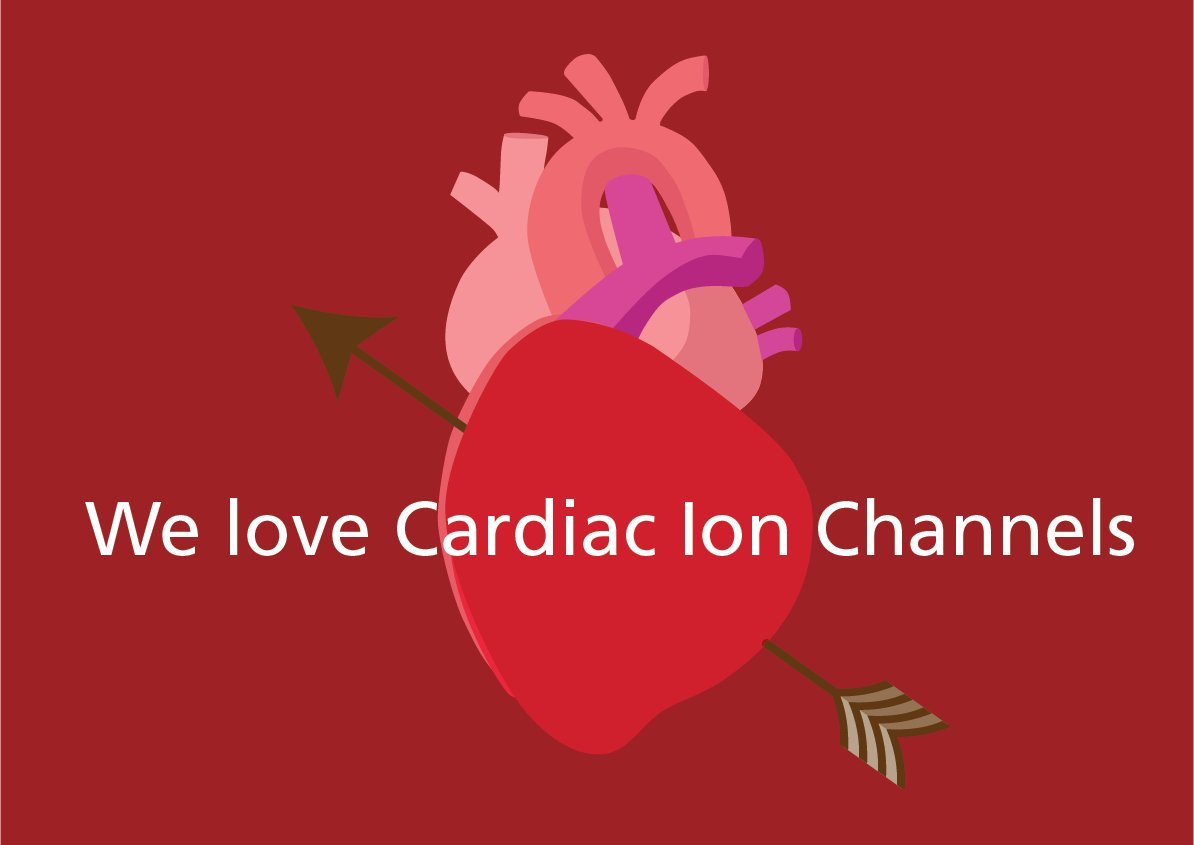 Today, on Valentine's Day, we celebrate love. At Sophion, we also celebrate our love for #ionchannels. In honour of the Heart’s Day’ we acknowledge the impact automated electrophysiology has on cardiac ion channel currents and #cardiacsafety.
 
#patchclamp #drugdiscovery #sophion