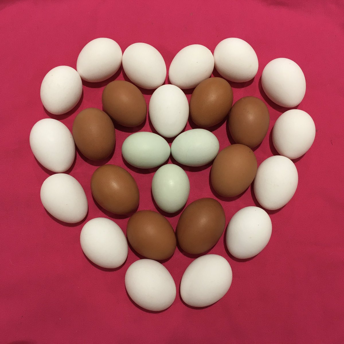 Happy Valentines Day! Share the love today! ❤️

#SayingItWithEggs #EggArt #Love #Valentines #ValentinesDay #FarmingUK #Farming #Eggs #LoveFreeRangeEggs #FreeRangeEggs #ShareTheLove #LoveLocal #SpreadTheLove #BritishFoodIsGreat #WhiteEggs