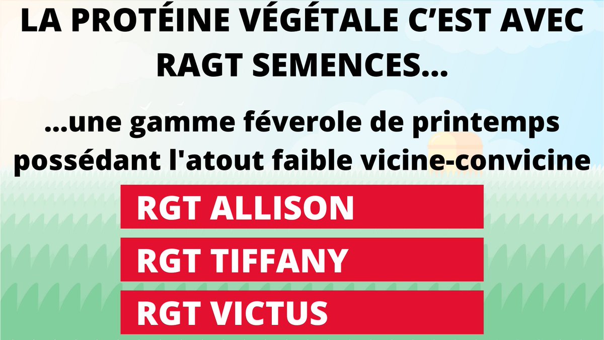 ExpertsCereales's tweet photo. Le marché est à la recherche de variétés de #féverole à faible teneur vicine convicine. 
Les solutions #RAGT #ALLISON #TIFFANY #VICTUS https://t.co/YaVmhtl5MX