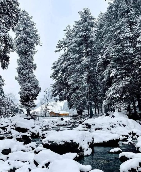 Newkashmir5's tweet photo. "#Kindness is like #snow- It #beautifies everything it covers.😇😇🥰
#IamPulwama
#KashmirAgainstTerror
#Pulwama
#SpiritOfPulwama https://t.co/MUn6n40pQj