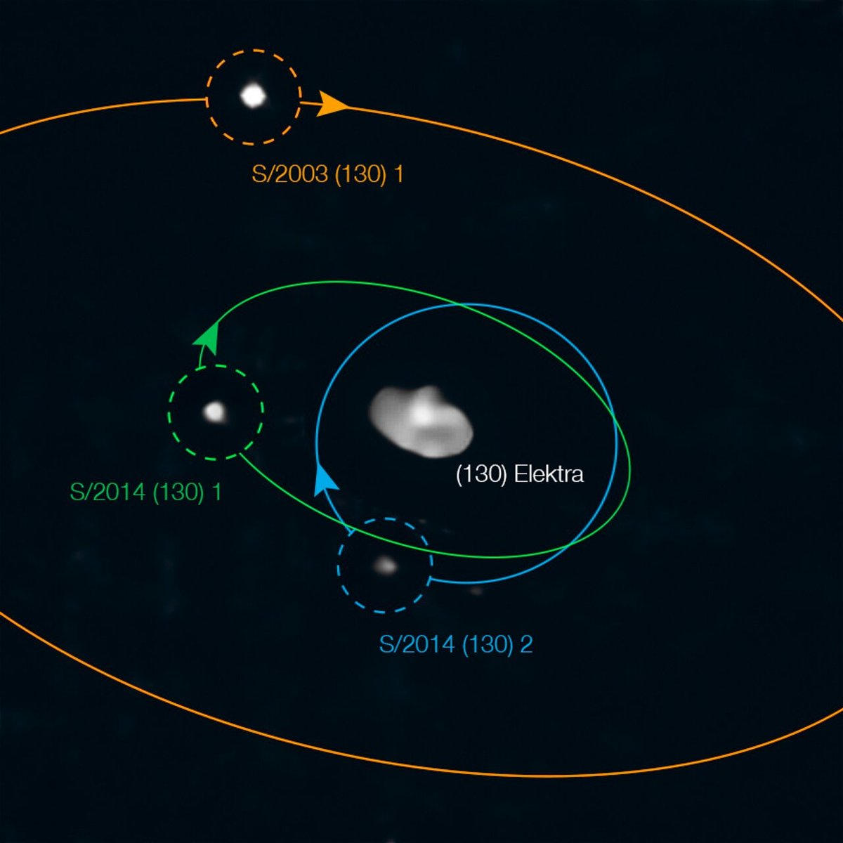 Three's a crowd? This Picture of the Week shows Elektra, an asteroid from the main asteroid belt. A third moon (blue orbit) was discovered orbiting the asteroid, making it the first known quadruple asteroid system.
🔗 orlo.uk/8tdw2 
📸 <a href="/ESO/">ESO</a> /Berdeu et al., Yang et al.