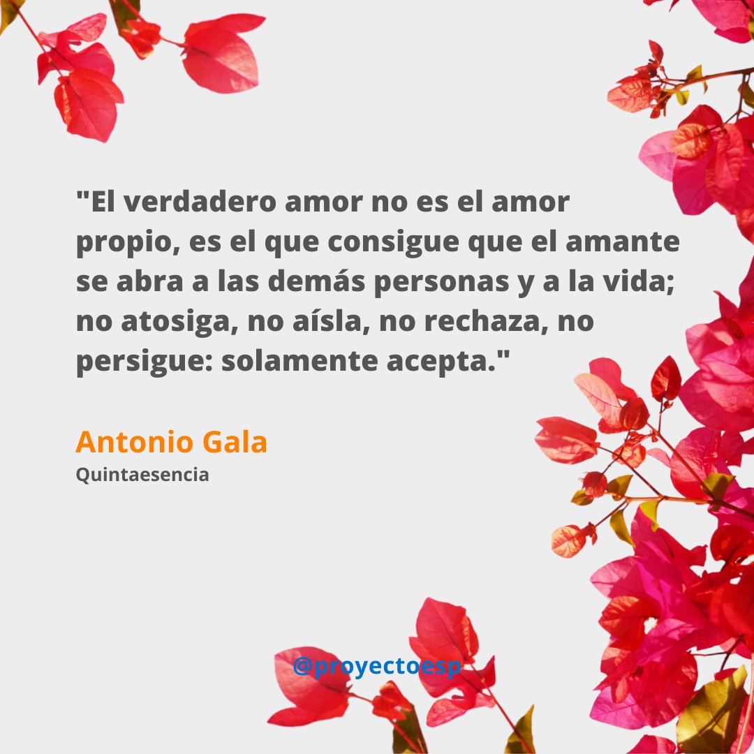 ¡Feliz día de San Valentín a todos!
¿Qué otras frases crees que son perfectas para el día de hoy?
Nos encanta que lo compartas con nosotros. Te leemos.
