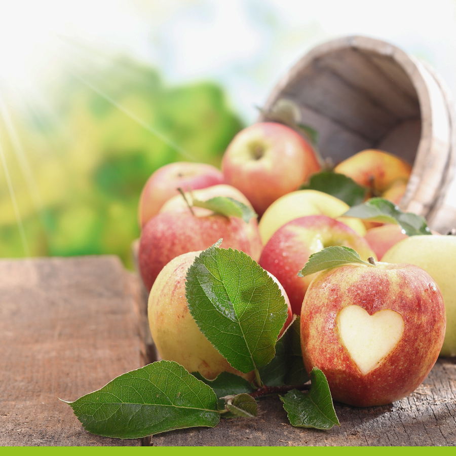Valentijnsdag. Toch een bijzonder momentje om je partner of vriend(in) te verrassen! ❤
 
In een creatieve bui? Snij groenten en fruit in de vorm van een hartje voor bij het avondeten. Een beetje extra aandacht voor elkaar kan ook nooit kwaad.
 .
 .
 #valentijnsdag