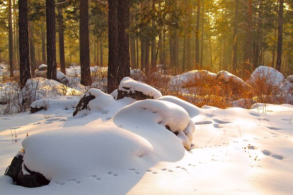 Andrey Tarlanov (@5baksov) on Twitter photo 