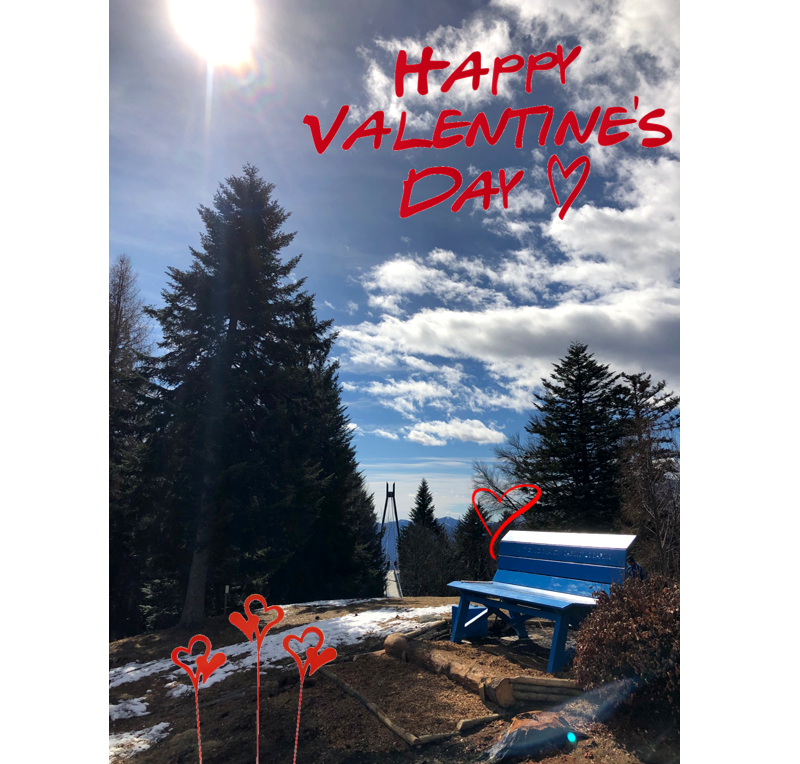 Cardada Cimetta tweet media