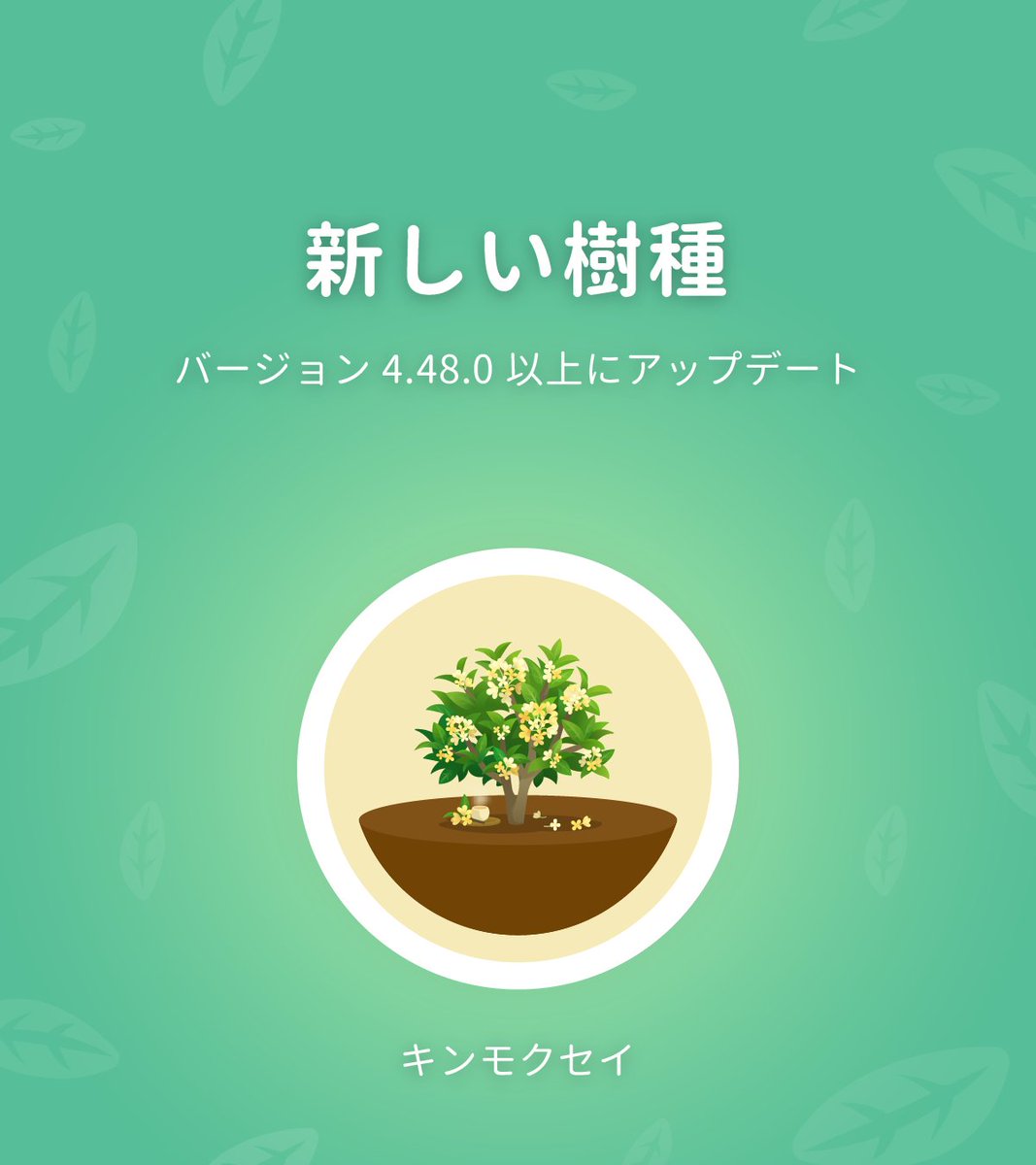forestapp_jp's tweet photo. 【🌲#新しい樹種 キンモクセイ】

ご注意
🌟Androidユーザーの方は、バージョン4.47.0以上にアップデートしてください
🌟iOSユーザーの方は、バージョン4.47.0以上にアップデートしてください

アップデート後は、ストアで新しい木を買えるように設定ページからアプリを手動で同期してください！ https://t.co/YC1zkzRppN
