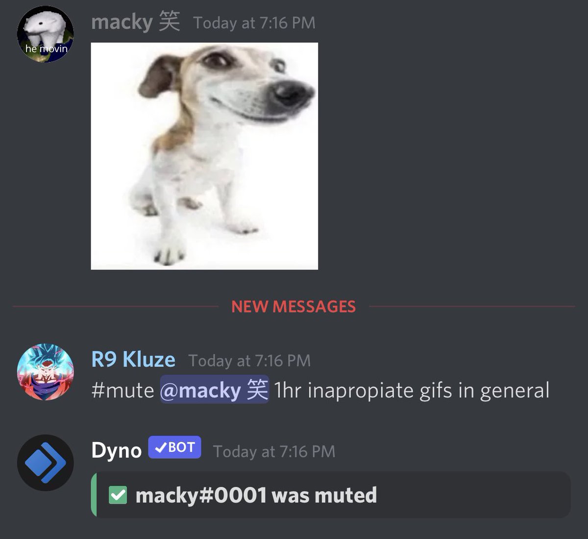 Bro these Cano staff have never seen grass lmaooo