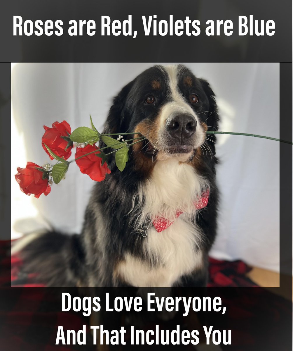 It’s true.  Happy Valentines Day!
Love you all!
#ValentinesDay