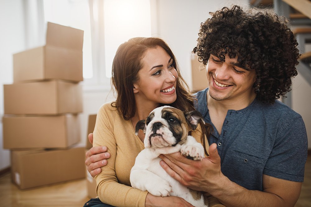 RentSelfStorage's tweet image. Moving across the country is a big undertaking with dogs. Get the tips to make your move easier on you and your pet. #dogtips #petowner #movingwithdogs ow.ly/nga930s8Imt