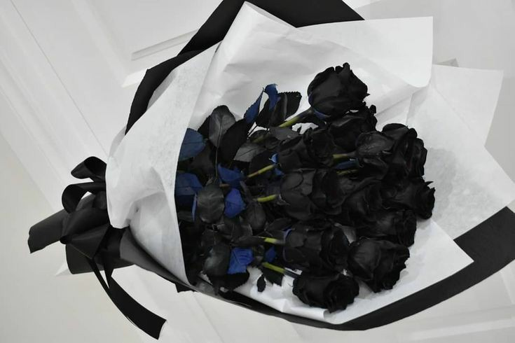 ㅤ
ㅤ
🦉. The 𝗢𝗪𝗟 has sent you present!

To: <a href="/hellsplutter/">𝕵ekyll</a>  
Message: bunga mawar hitam
From: 𝓗.
ㅤ
ㅤ