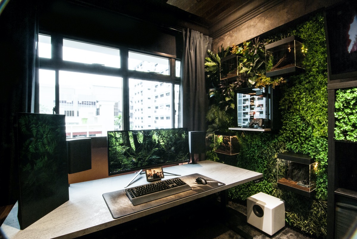 Prokey_Gaming's tweet photo. One with nature🍃🍂#gardenwall #nature #gaming #gamingsetup #gameroom https://t.co/2sUX6s2QWn
