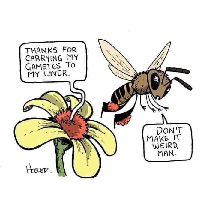 Since it’s Valentine’s Day ….

The Bees. Helping plants to get laid for over 100 million years.
