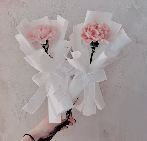 VERSUMAGICAE's tweet photo. ㅤ
ㅤ
🦉. The 𝗢𝗪𝗟 has sent you present!

To: @ghostshowI
Message: A bouquet of acacia; gillyflowers.
From:👊
ㅤ
ㅤ https://t.co/mZGmitP956