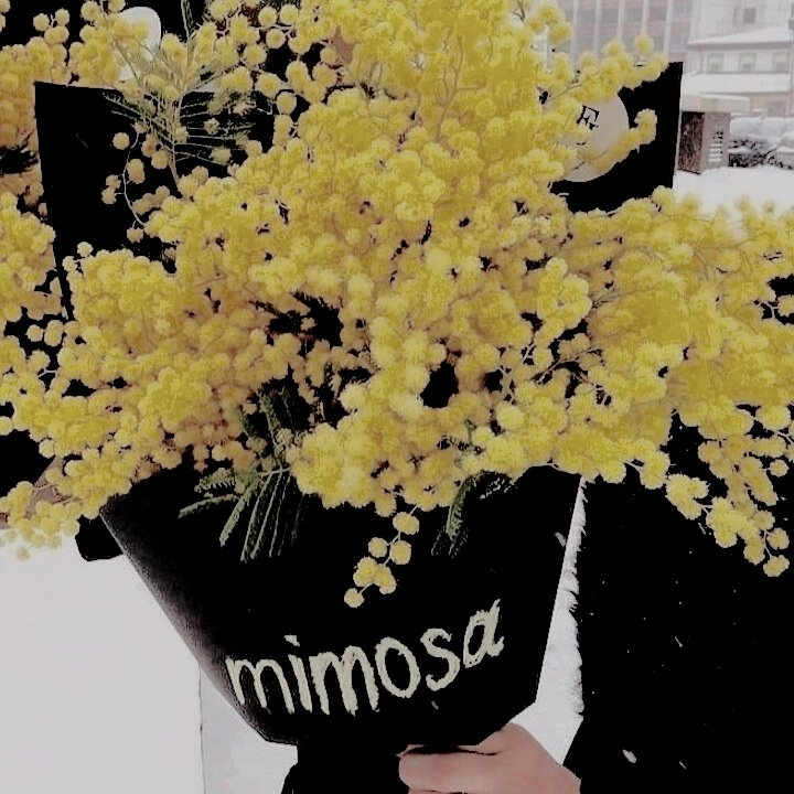 ㅤ
ㅤ
🦉. The 𝗢𝗪𝗟 has sent you present!

To: <a href="/ghostshowI/">‍‍ ‍ ‍‍‍ ‍ ‍‍‍‍ ‍‍ ‍ ‍‍‍𝑨𝑩𝑹͟𝑨͟𝑴 ‍ ‍.ᐟ</a>
Message: A bouquet of acacia; gillyflowers.
From:👊
ㅤ
ㅤ