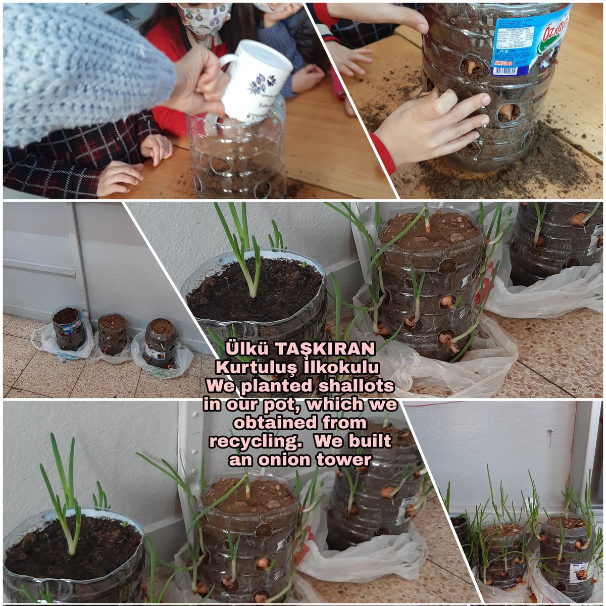 Ülkü TAŞKIRAN Kurtuluş İlkokulu Our onion tower is growing