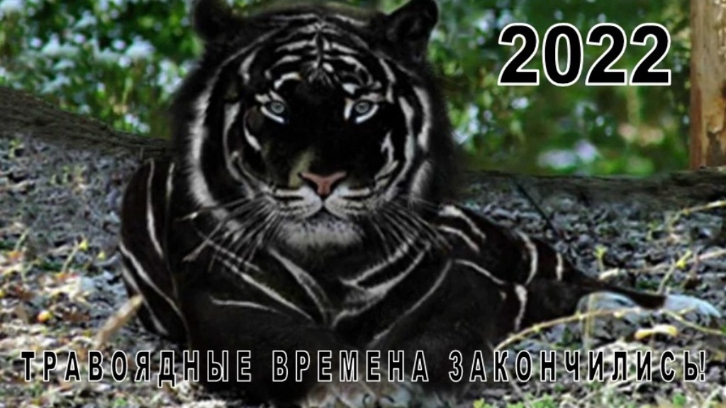 dsorokin69's tweet photo. «НОВОГОДНИЙ РАСКЛАД» ОТ ЭКС-СОТРУДНИКА ГОСБЕЗПАСНОСТИ  https://t.co/ktwdufQEnb https://t.co/eOSvUUYXUS