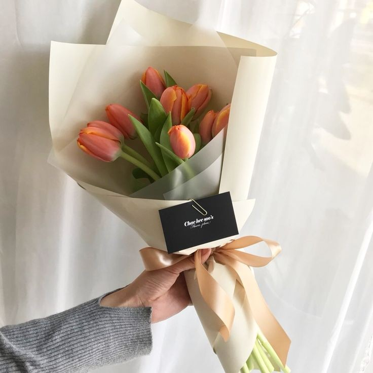 ㅤ
ㅤ
🦉. The 𝗢𝗪𝗟 has sent you present!

To: @billowsome  
Message: A Bouquet of Pastel Tulip
From: —
ㅤ
ㅤ