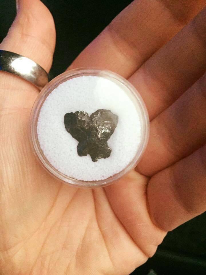 Michelle Clark tweet media