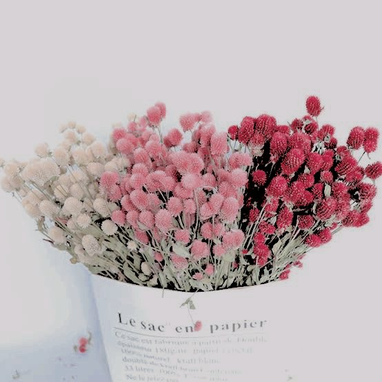 VERSUMAGICAE's tweet photo. ㅤ
ㅤ
🦉. The 𝗢𝗪𝗟 has sent you present!

To: @billowsome
Message: A bouquet of lily of the valley; a bouquet of variegated tulip; a bouquet of globe amaranth
From: -
ㅤ
ㅤ https://t.co/J5pnfco2nJ