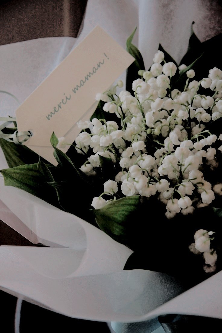 ㅤ
ㅤ
🦉. The 𝗢𝗪𝗟 has sent you present!

To: @billowsome
Message: A bouquet of lily of the valley; a bouquet of variegated tulip; a bouquet of globe amaranth
From: -
ㅤ
ㅤ