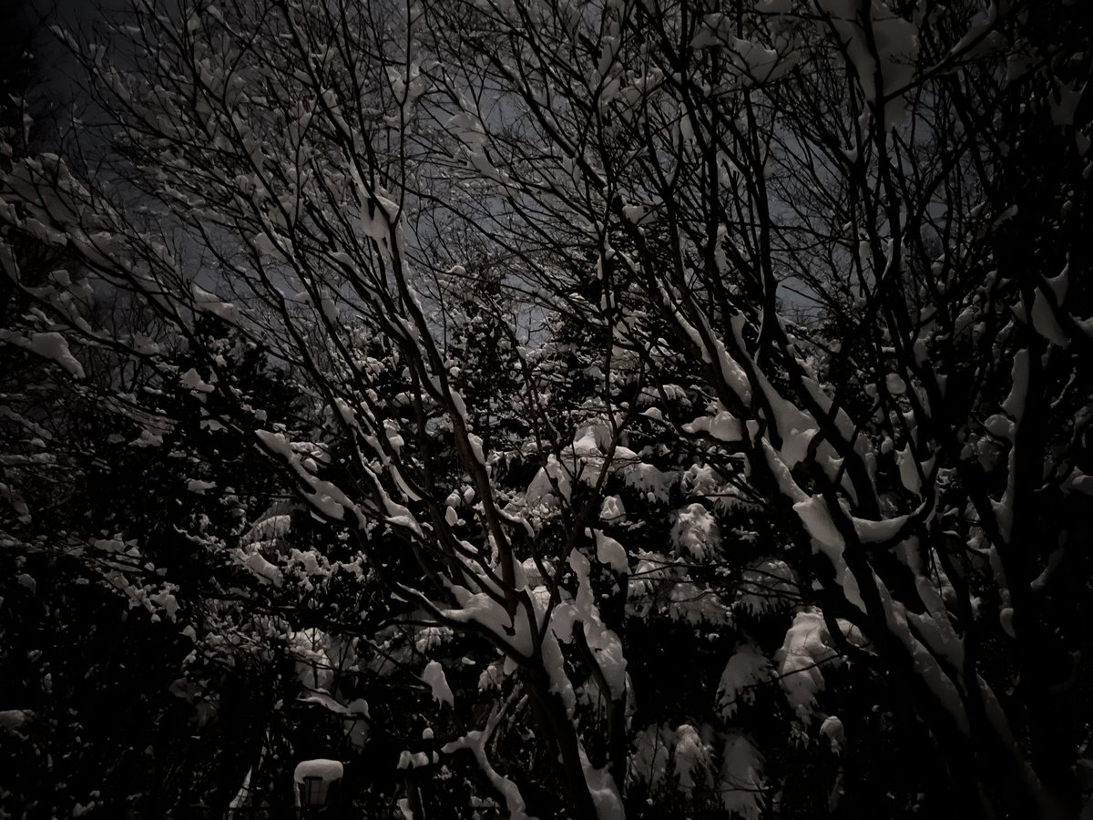 積もった雪に月明かり
ファンタジーな夜