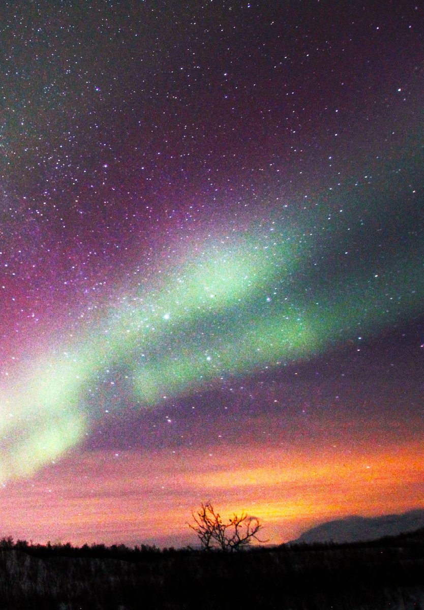 MIRAGE_Aurora's tweet photo. In name of aurora, I wish the love to our loved ones never fade away. May the light of happiness stays by your side as always. Happy Valentine's Day.
P.S. my first NFT project is on its way with giveaway, so stay tuned!
Discord: https://t.co/z5jDYKcTdQ 
#Aurora #AuroraHunter #NFT https://t.co/DeG9rpW4Ia