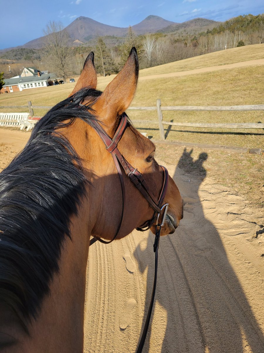 GeneralsRiding's tweet photo. Counting down: 5 days to winter season opener at Virginia Tech https://t.co/UcPIcbjbFn