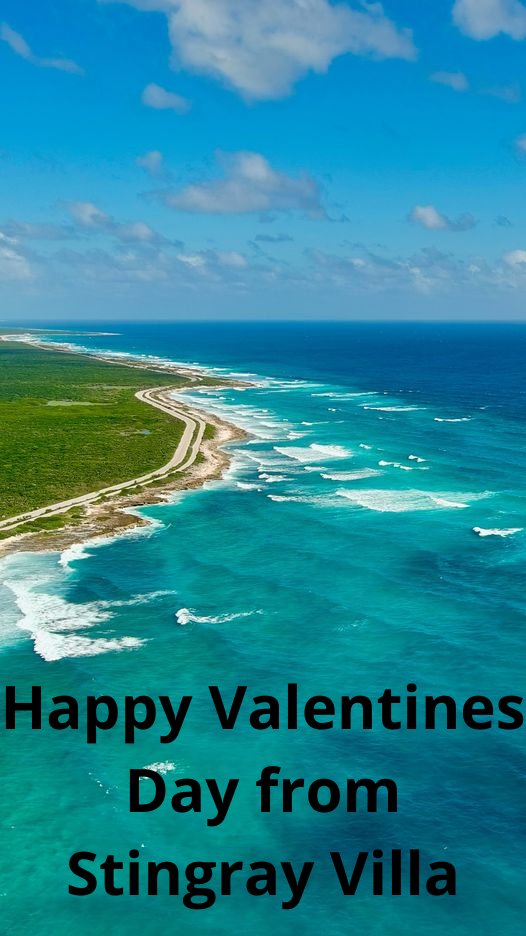 Valentine’s Day is a time when people show feelings of love, affection, and friendship. Thank you, L Scott Harrell

#airbnbcozumel #airbnbhost #islacozumel #cozumelmexico #cozumel #airbnbfun #airbnbexperience #airbnbphoto #airbnbtravel #airbnbsuperhost #BookDirect #Teamboostly
