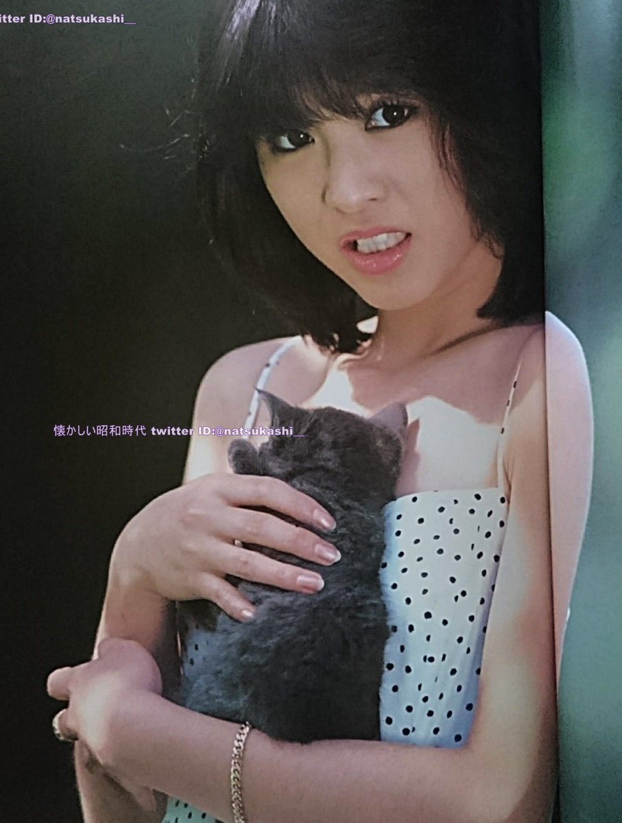 松田聖子　写真集 松田聖子 写真集『のちの想いに…』（1983年出版） #松田聖子 #昭和