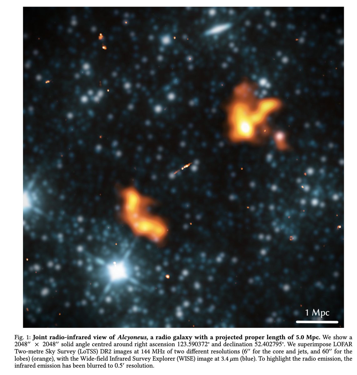 First came 3C236 (1974), then came J1420-0545 (2008) after 34 years and now after 14 years came Alcyoneus- the largest giant radio galaxy of ~5 Mpc!  <a href="/LOFAR/">Low Frequency Array</a> made it happen, continuing the Dutch telescope tradition of finding the largest of the giants.

arxiv.org/pdf/2202.05427…