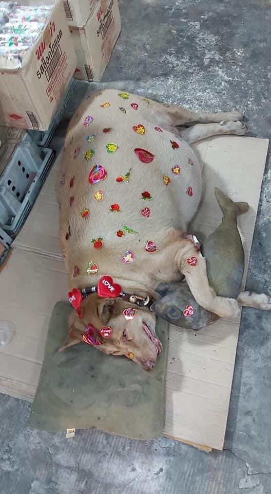 ใครฮอตสุด ไม่ต้องบอกเลยย น่ารักกก