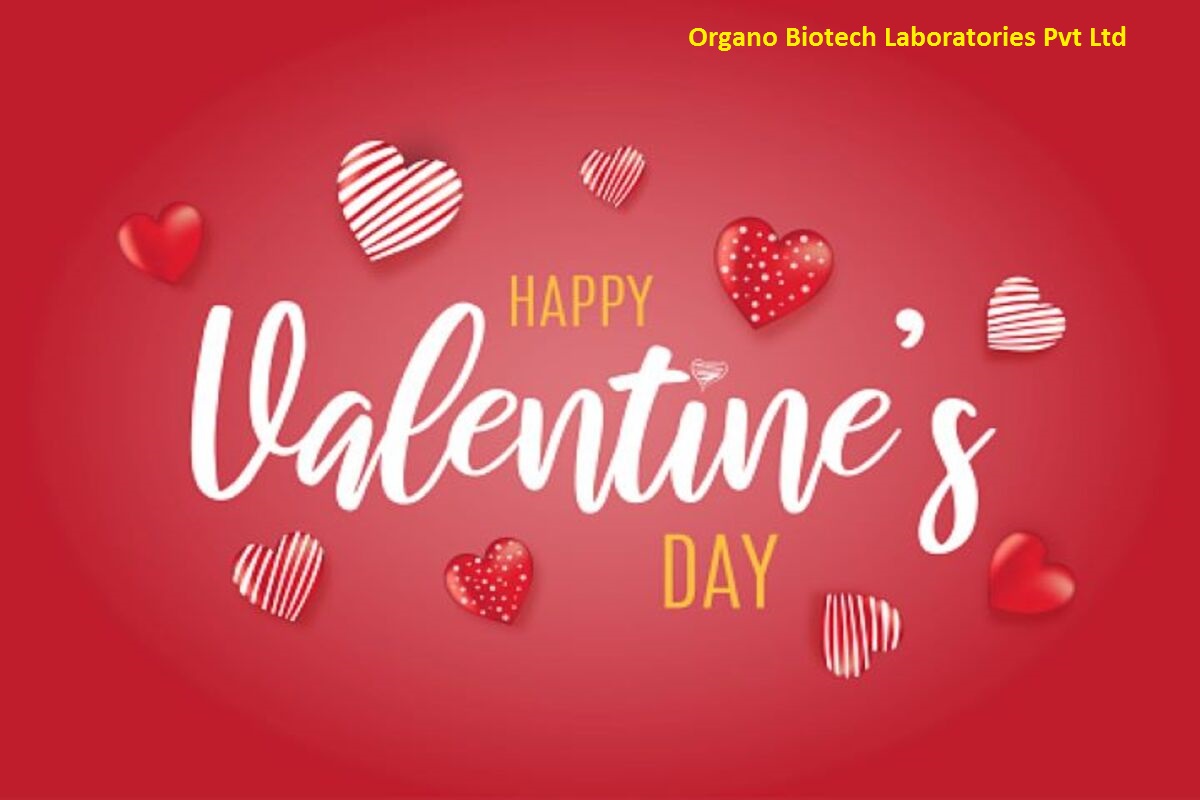 We hope one celebrate it with all the things #Loves #Care #Joy #Thanking to have it in life,filled with family, friends and Cheerful moments that become favorite memories #OrganoBiotechTeam wishes Everyone #HAPPYVALENTINE'SDAY https://t.co/rBUvw3iI4a
