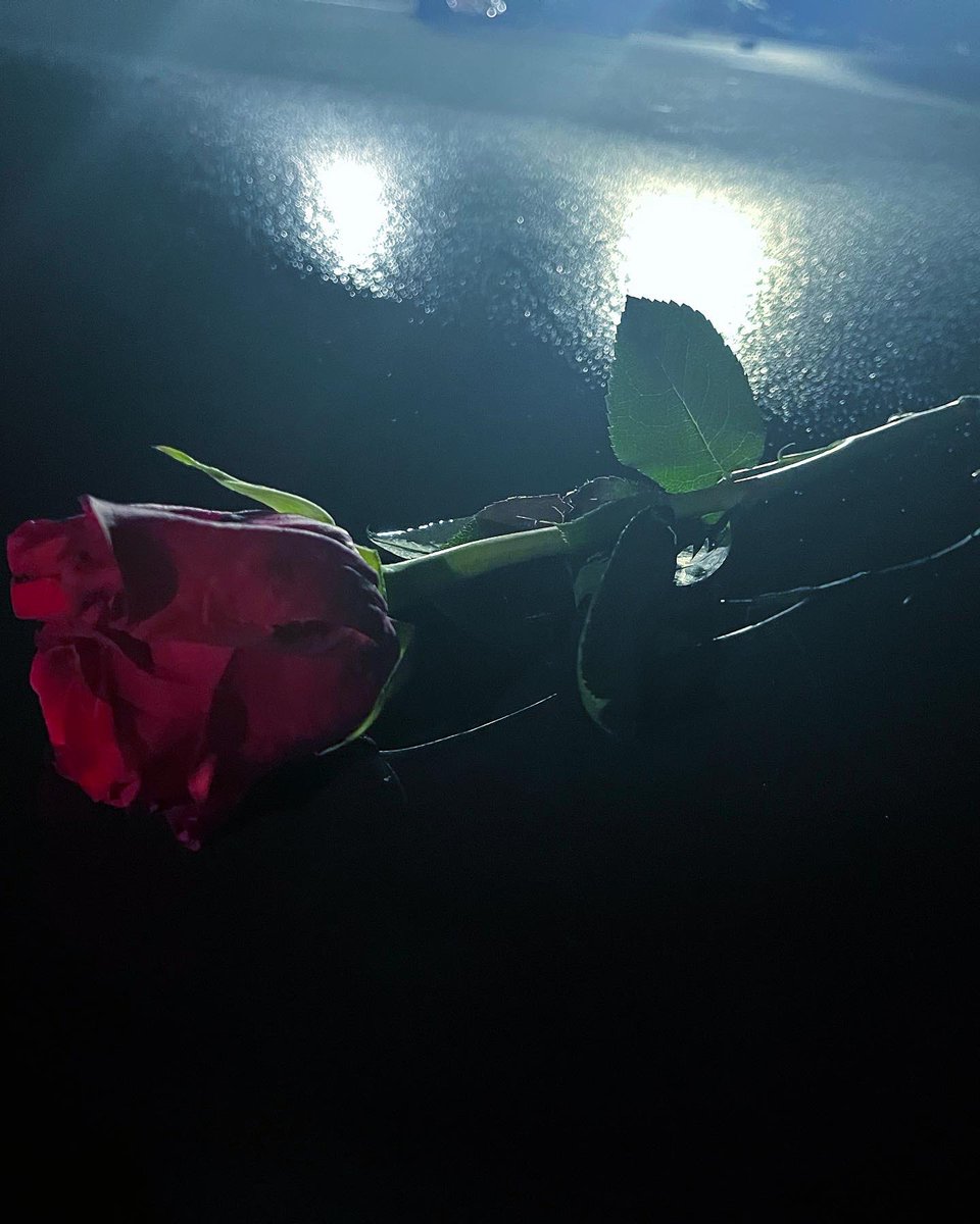 von_doe_'s tweet photo. Fuck Valentine’s Day https://t.co/s1ZbBZNjRU