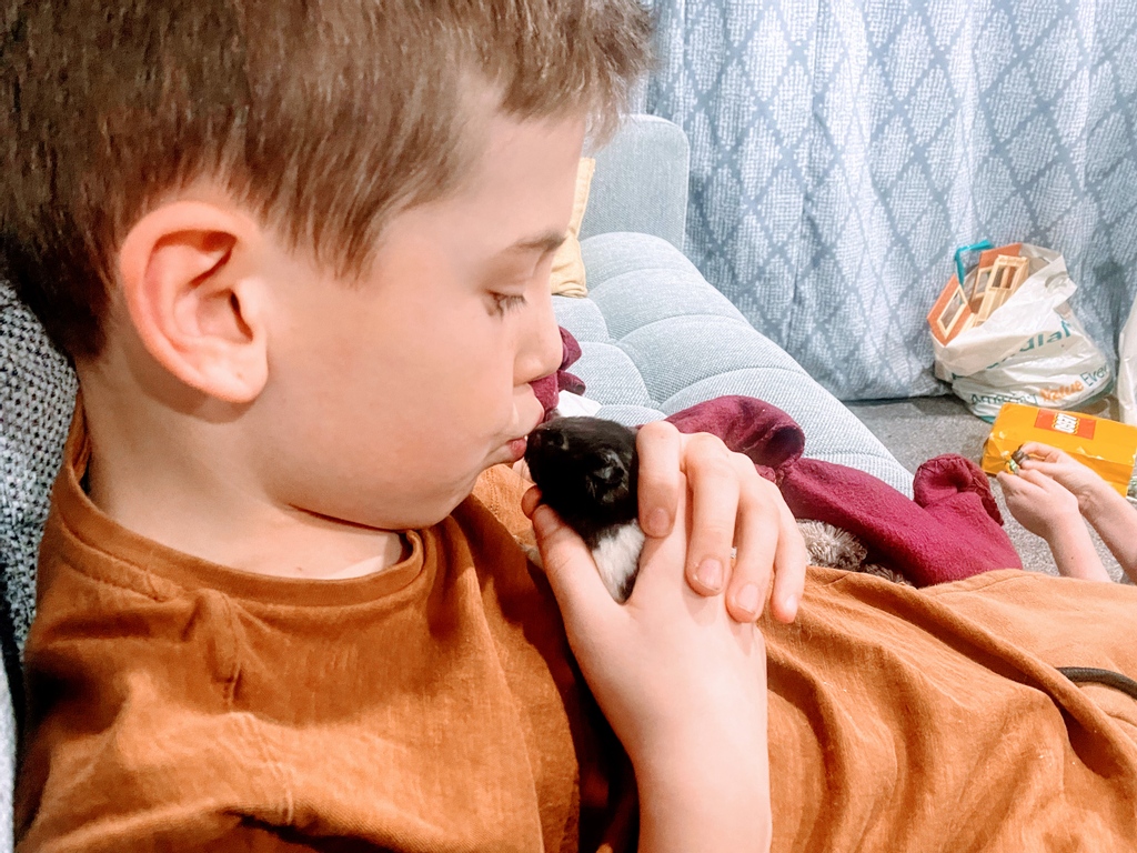 all_hogwarts's tweet photo. Happy Valentine's Day! 
I thought I would share a cute picture of my son with his beloved Pet hamster. 😊

Hope your day is full of love and laughter!

#homeschoollife #homeschool #homeschoolfamily #homeschooler https://t.co/CvwnxPA4jb