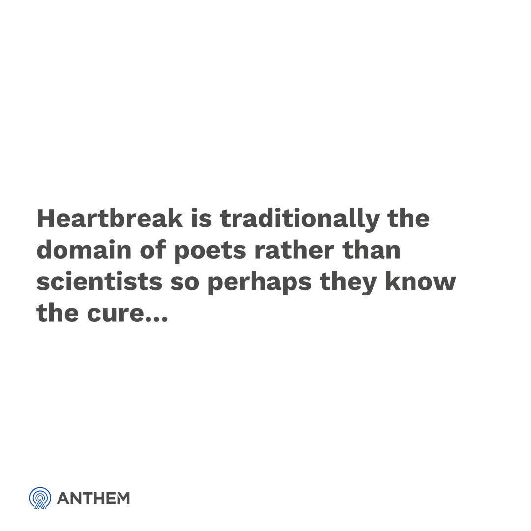 WeRAnthem's tweet photo. https://t.co/GPedHE9BOq