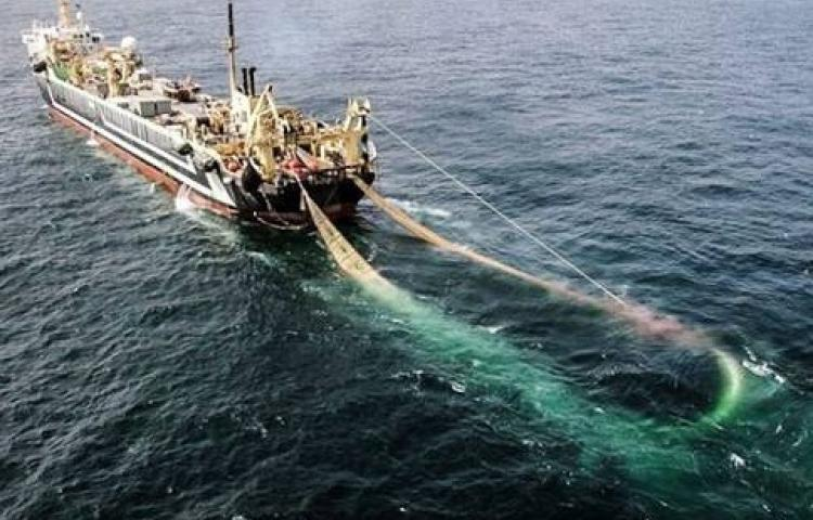 One boat 9500 ton boat with a huge trawl net - the other working a hand-line in sight of land tracked every inch at sea and having to guess the weight of the catch within 10% or face prosecution.