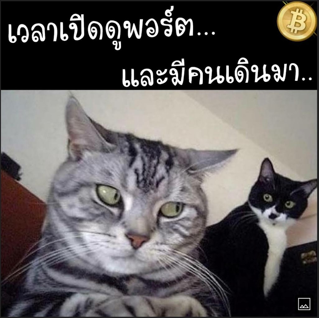 ODDO_Captain's tweet photo. https://t.co/1pGarNK13J