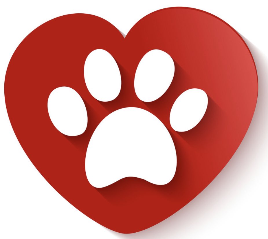 National K9 Memorial tweet media