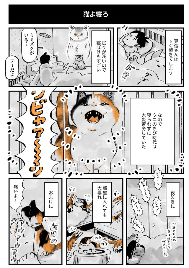 『猫よ寝ろ』
(1/2) 