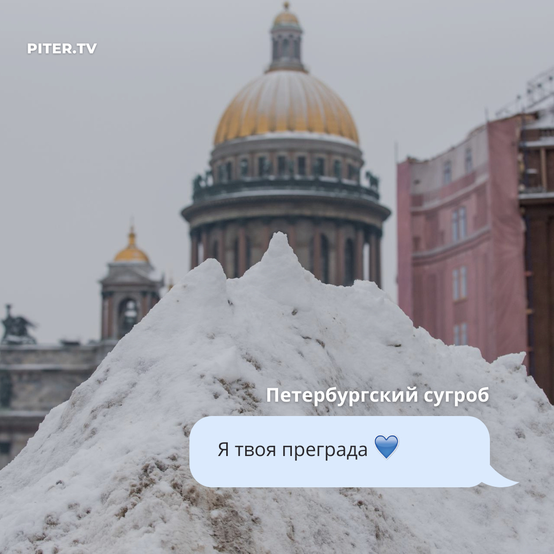 PiterTV tweet media