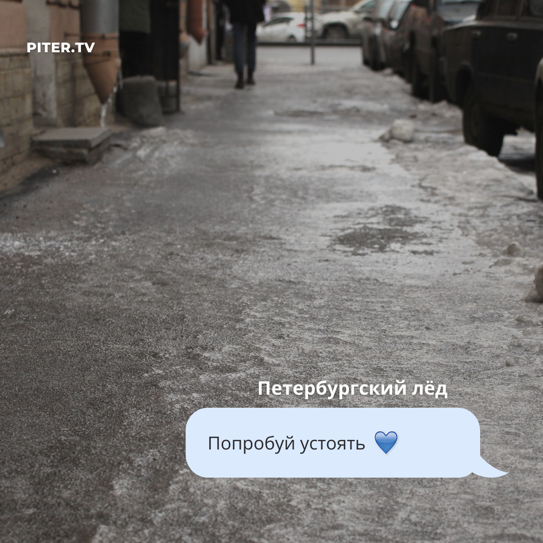 PiterTV tweet media