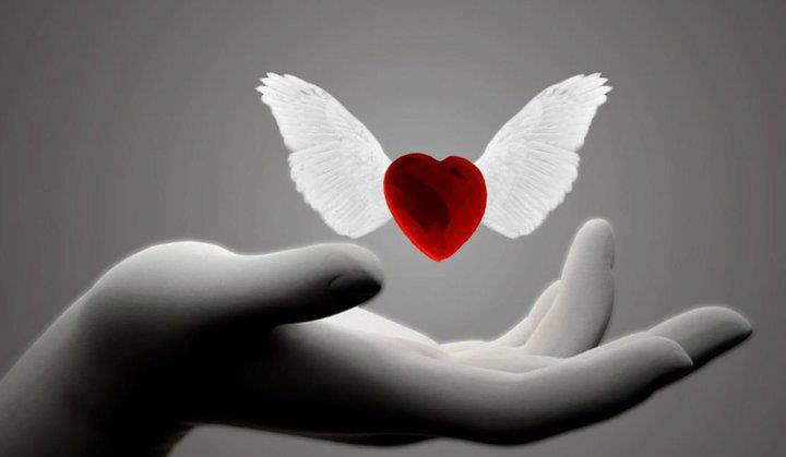 microedge's tweet image. Happy valentines day!